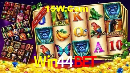 Canal oficial no Telegram da Win44Bet
