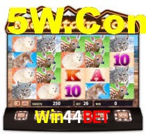 Ofertas Imperdíveis na Win44Bet: Promoções e Bônus Que Valem a Pena